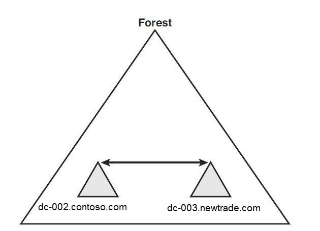 forestGraph1.jpg